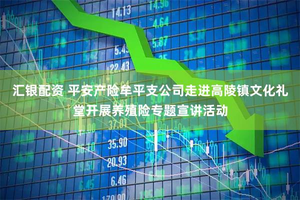 汇银配资 平安产险牟平支公司走进高陵镇文化礼堂开展养殖险专题宣讲活动