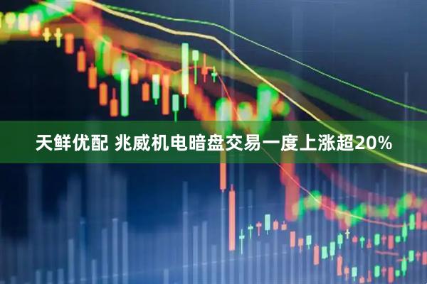天鲜优配 兆威机电暗盘交易一度上涨超20%