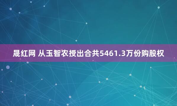 晟红网 从玉智农授出合共5461.3万份购股权