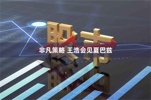非凡策略 王浩会见夏巴兹