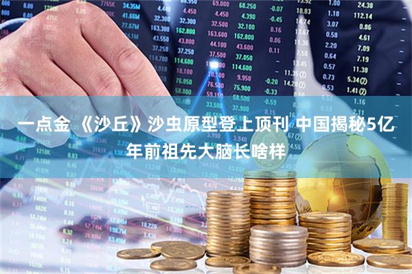 一点金 《沙丘》沙虫原型登上顶刊 中国揭秘5亿年前祖先大脑长啥样
